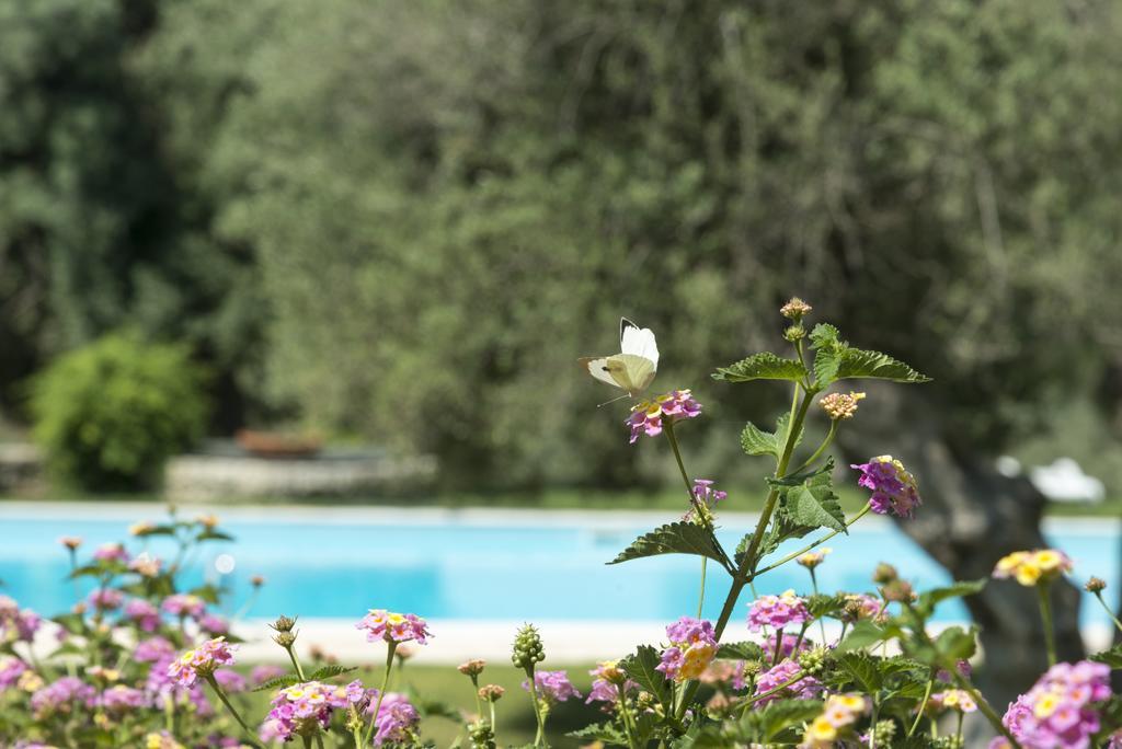 Agriturismo Borgo Degli Ulivi Canicattini Bagni 外观 照片